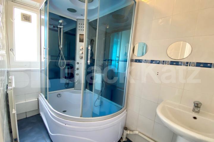 Bright & airy split level apartment with patio garden & superbly located Burbage Close , Borough/London Bridge